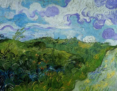 Ван Гог — буря в стакане. Зачем исказили биографию успешного художника? |  Искусство | Культура | Аргументы и Факты