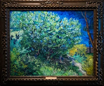 Картина Ван Гог. Размеры: 80x60, Год: 2023, Цена: 48800 рублей Художник  Скулкина Ольга