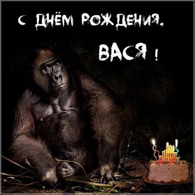 Красивые картинки С Днем Рождения Василий (65 открыток)