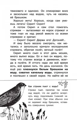 Иллюстрация 10 из 34 для Васюткино озеро. С вопросами и ответами для  почемучек - Виктор Астафьев |