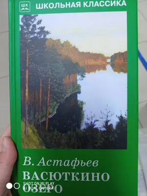 Иллюстрация 15 из 15 для Васюткино озеро - Виктор Астафьев | Лабиринт -  книги. Источник: OliyaOliya