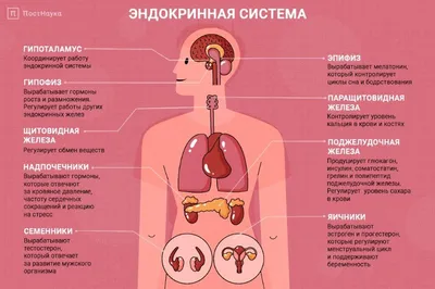 Мировое искусство в 100 главных шедеврах. Работы, которые важно знать и  понимать (Сьюзи Ходж) - купить книгу с доставкой в интернет-магазине  «Читай-город». ISBN: 978-5-00-195737-9