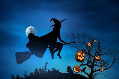 Фото На фоне ночного неба и месяца летает девушка-ведьма с котенком на метле  над домами