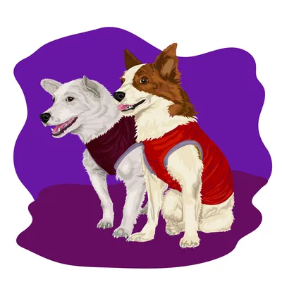 векторные иллюстрационные собаки установили животных животных животных  Иллюстрация вектора - иллюстрации насчитывающей шарж, бульдоги: 229860822
