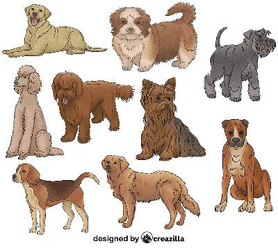 векторные собаки иллюстрация вектора. иллюстрации насчитывающей бульдоги -  233623477