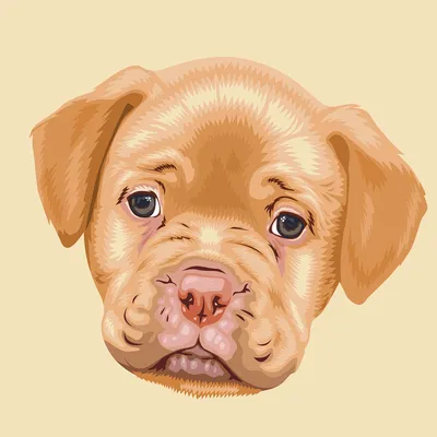 Скачать - Собака Породы Коллекции Бесшовный Паттерн Векторные Иллюстрации —  стоковая иллюстрация | Векторная иллюстрация, Собаки, Породы собак