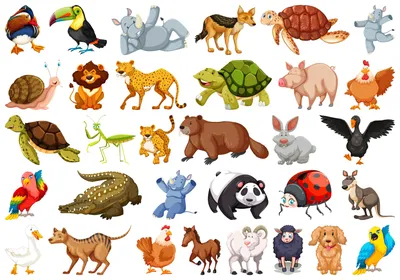 16 мультфильм круглый значок животных векторные материалы PNG , акула,  птица, волк PNG картинки и пнг PSD рисунок для бесплатной загрузки