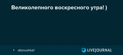 Доброе утро) | Книжный клуб Amino