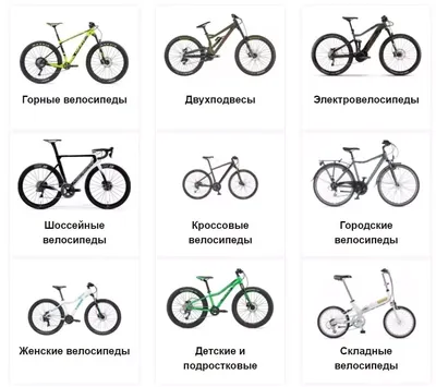 Как выбрать велосипед и подобрать размер по росту: инструкция | РБК Life