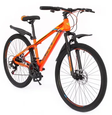 Велосипед LINUS ROADSTER CLASSIC BLACK L 12786 купить в интернет магазине  it`s my!bike