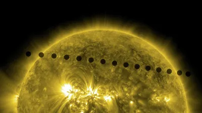 Жизнь на Венере — Википедия