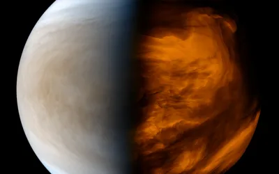 Как Венера превратилась в ад и почему Земля — следующая | РБК Тренды