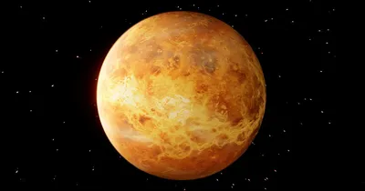 Венера (Планета)