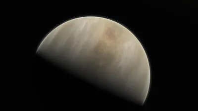 Ученые обнаружили жизнь на Венере - ужасающие снимки с планеты! — What is  на vc.ru