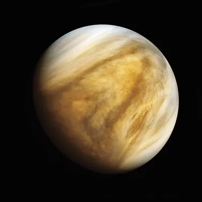 Марс или Венера: какую планету человечество колонизирует первой | РБК Стиль