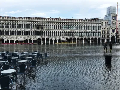 В Венеции из-за отливов и засухи резко упал уровень воды в каналах | Forbes  Life