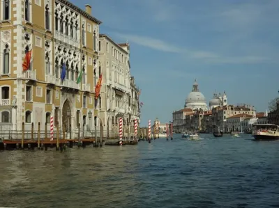 В Венеции пересохли каналы. Фото местных жителей