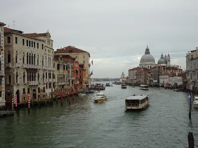 Отзыв Лены о поездке в Венецию весной в марте — полезная информация для  туристов и мои впечатления