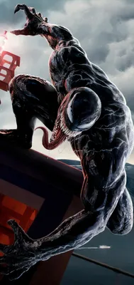 Чехол Эдди Брок - Веном (Venom) для iPhone 13 Pro силиконовый купить  недорого в интернет-магазине Caseme