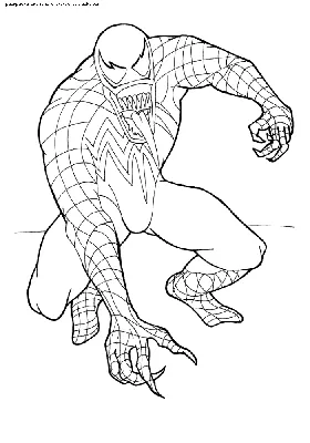 Раскраска Веном | Раскраски из фильма Человек-паук (Spiderman)