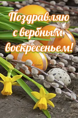Вербное воскресенье 9 апреля - поздравления, открытки, СМС и стихи к  празднику | Новости РБК Украина