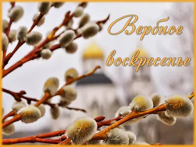 Вербное воскресенье | Праздничные цитаты, Открытки, Праздник