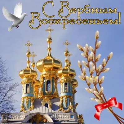 Новая открытка Вербное Воскресенье. Иллюстрация верба. Пожелание на вербное  воскресенье в картинке. | Пасхальная открытка, Открытки, Праздничные  открытки