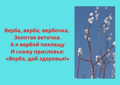 Открытка Вербное Воскресенье! Шоколад горький, молочный 120г купить в  Москве по цене 480 ₽ руб. ШД126.120-1837 - Конфаэль