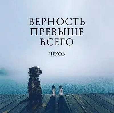 Купить книгу «Верность», Рейнбоу Рауэлл | Издательство «Иностранка», ISBN:  978-5-389-09687-5