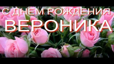 Всезнайки: Вероника, с днем рождения!