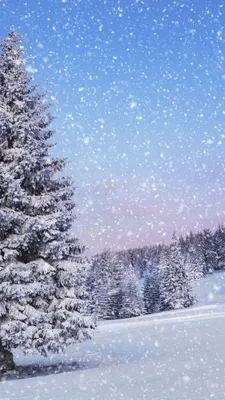 Вертикальные обои на айфон красивые зимние (52 картинки) | Идеи озеленения,  Пейзажи, Зимние картинки