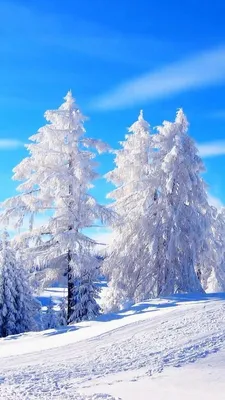 Зима обои на телефон вертикальные - фото и картинки abrakadabra.fun