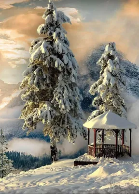 Вертикальные обои на айфон красивые зимние (52 картинки) | Пейзажи,  Живописные пейзажи, Горный пейзаж