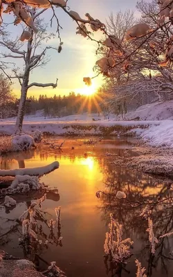 Зима вертикальные - красивые фото