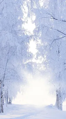 Морозные картины зимы на стекле Вертикальная предпосылка Стоковое  Изображение - изображение насчитывающей картины, снежок: 133435743