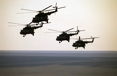 На «Армии-2023» показали новые вертолеты России: фото Ка-52, Ми-28 и других  - NEWS.ru — 15.08.23