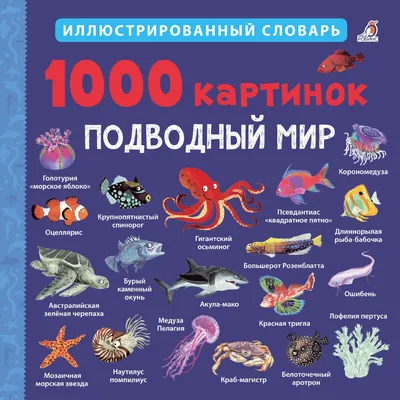 Новый весёлый фразеологический словарь (Книга для детей со стихами и  картинками) | Лаврентьева Е. В. - купить с доставкой по выгодным ценам в  интернет-магазине OZON (226165603)