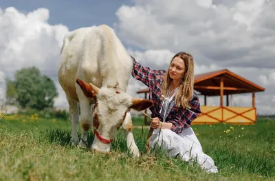 Ферма «Веселая корова», Московская область, деревня Антоново - «Весело,  красиво, интересно, а главное - познавательно! Отзыв об экскурсии по  ферме.» | отзывы