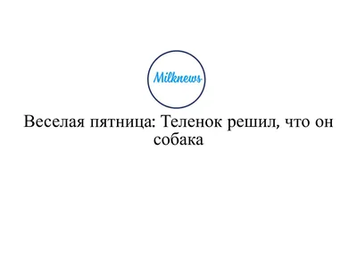 Веселая пятница\" на площади ГДК \"Авиатор\"!