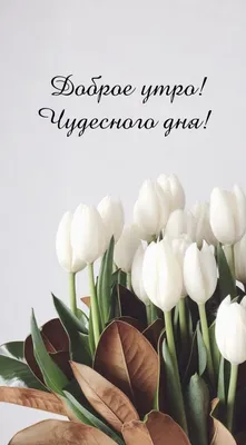 Хорошего, легкого, позитивного дня! - Открытки eCardsFree.ru