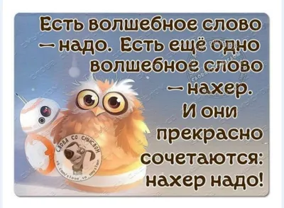 Смешные картинки, приколы, цитаты 2024 | ВКонтакте