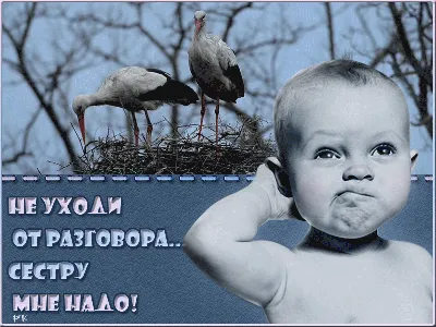 Красивые анимационные открытки с Днем рождения (GIF) - скачайте бесплатно  на Davno.ru
