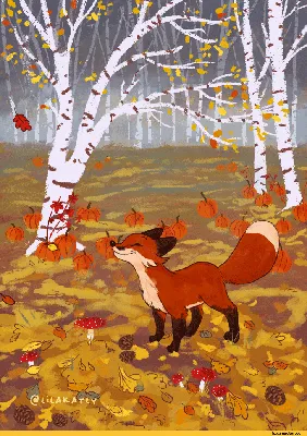 fox gif :: Лиса гифки :: Лиса :: automn :: fox :: lilakatly :: Осень ::  lilakatly :: gif :: fandoms :: гиф анимация (гифки - ПРИКОЛЬНЫЕ gif анимашки)  :: фэндомы / картинки, гифки, прикольные комиксы, интересные статьи по теме.