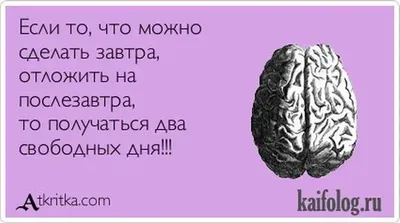 Веселые мысли в картинках для хорошего настроения на весь день День…:  chatcher2012 — LiveJournal