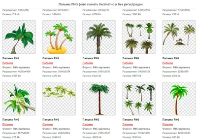 10 сайтов с готовыми PNG-картинками без фона для Фотошопа где скачать  бесплатно | ШКОЛА АРХИТЕКТУРЫ В МОСКВЕ | Дзен