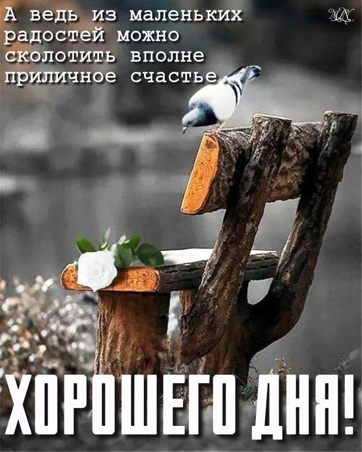 Хорошего дня | Открытки, Доброе утро, Утренние цитаты