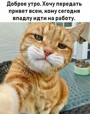 Смешные картинки ❘ 15 фото от 16 августа 2019 | Екабу.ру - развлекательный  портал