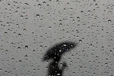 Прикольные картинки \"Опять дождь\" (54 фото)