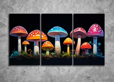 Самые красивые грибы в мире: Фото, факты, описание | Грибы, Природа