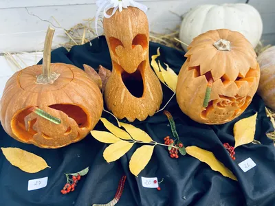 Хэллоуин Кошелек или жизнь деревянный знак висит табличка гном весело  Хэллоуин декор – лучшие товары в онлайн-магазине Джум Гик